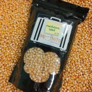 Mushroom Seed 3 cropped